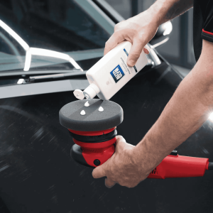 Advanced Paint Restorer - Image 4