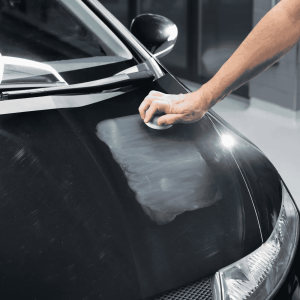 Advanced Paint Restorer - Image 5