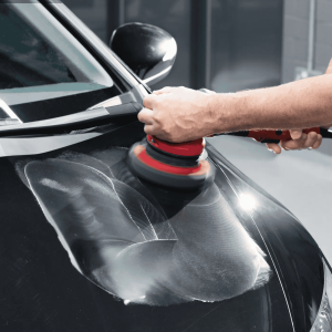 Advanced Paint Restorer - Image 6