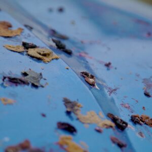 BIRD DROPPING WIPES - Image 3