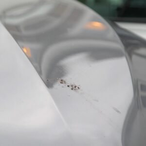 BIRD DROPPING WIPES - Image 4