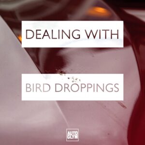 BIRD DROPPING WIPES - Image 5