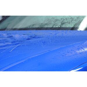 POLAR SEAL - Image 7